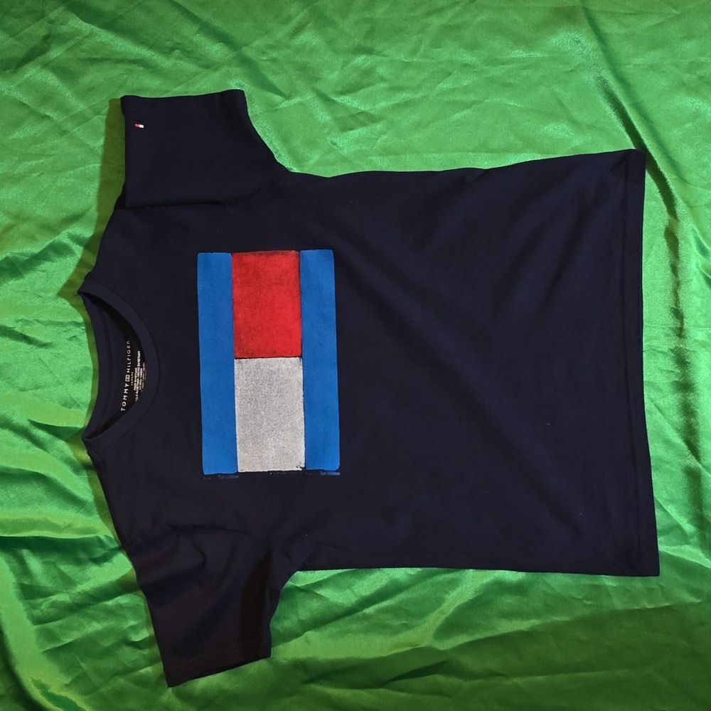 Boys Tommy Hilfiger T Shirt